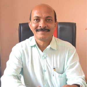 vice president